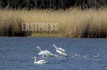 EA290725, Eastpress, Hamina, Finland